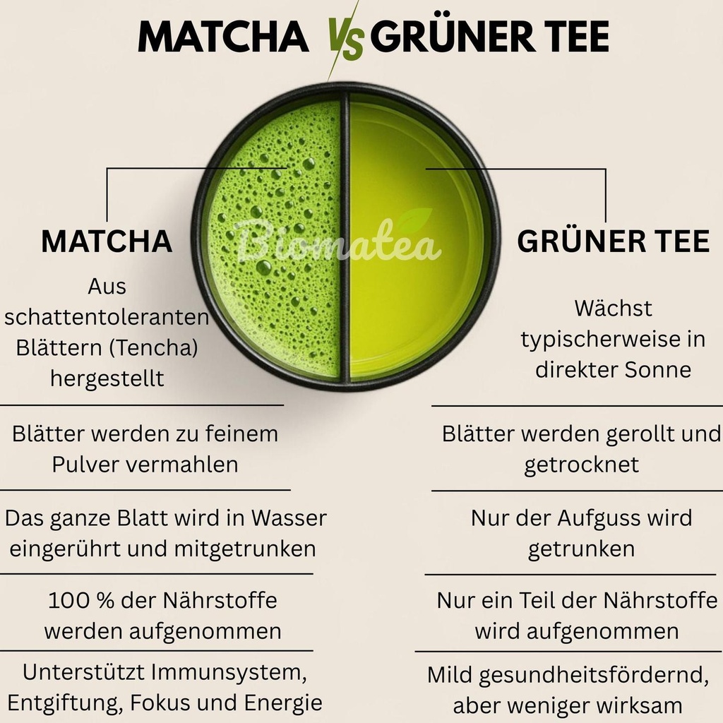 matchaVStee_fe785160-6cd6-495c-b19d-7bdd40898c63.jpg