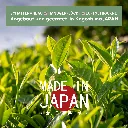 6.webp