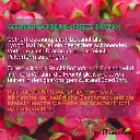 819XxjvVWvL._SL1500_.webp